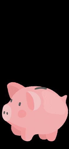 stylink money influencer piggy geld GIF