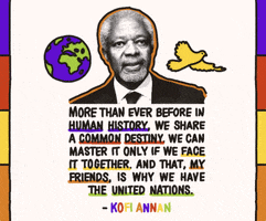 Human Rights Quote GIF by INTO ACTION