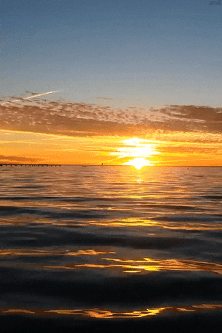 Morning Sunset GIFs - Get the best GIF on GIPHY