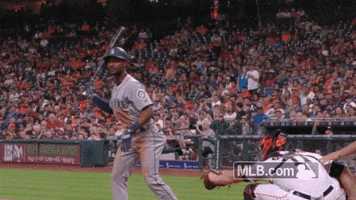 seattle mariners what GIF by MLB