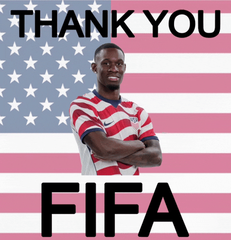 Fifa World Cup Usa GIF