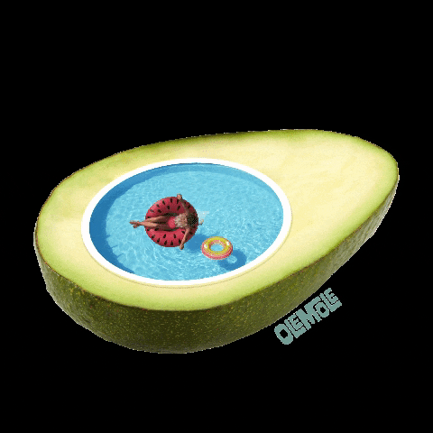 OleMole tacos piscina aguacate burritos GIF