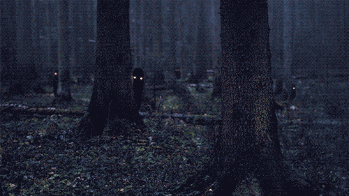 forest something GIF