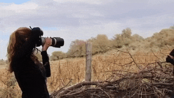 Idea Distribution LLC GIF