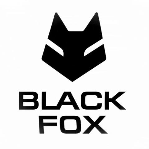 BlackFoxMotors black fox blf motors GIF