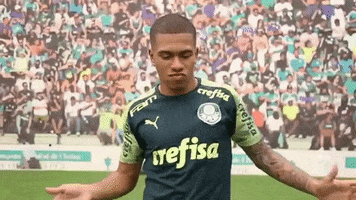 Lucas Base GIF by SE Palmeiras