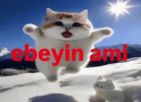 Madebypulad GIF