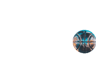 Basketball League Sticker by Empower Fitness Life