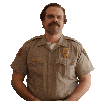 Netflix Sticker