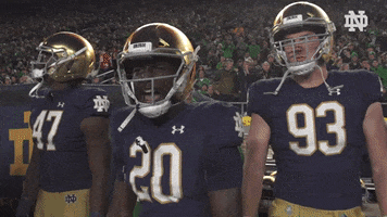 Notre Dame Football Nd GIF by Notre Dame Fighting Irish