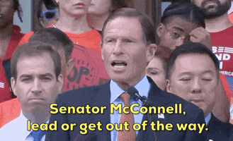 Mitch Mcconnell Gun Violence GIF by GIPHY News