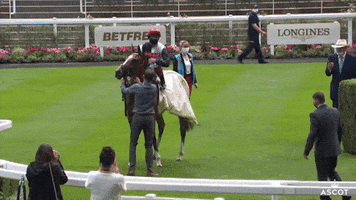 Excited Horse Racing GIF by Ascot Racecourse