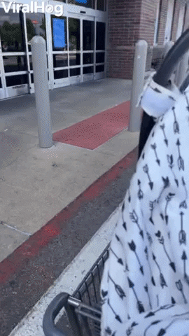Baby Reacts To Bumpy Ride In Shopping Cart GIF by ViralHog