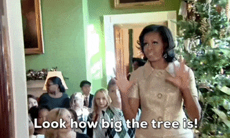 Michelle Obama Christmas GIF by GIPHY News
