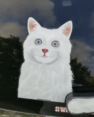 Horror Kitty GIF by WiperTags Wiper Covers