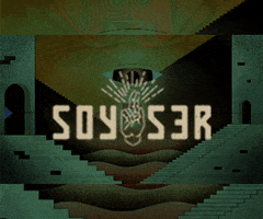 soyser GIF