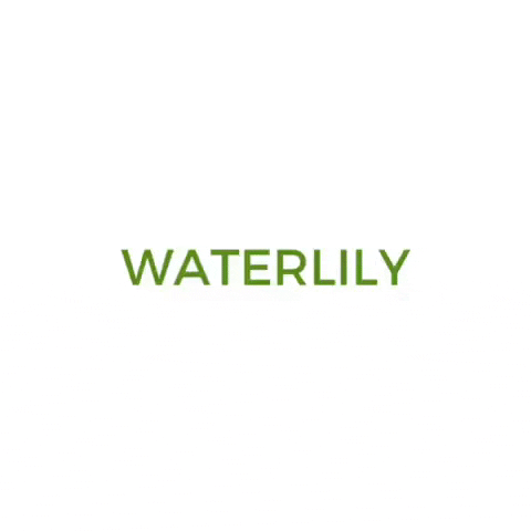 Waterlily Australasia GIF