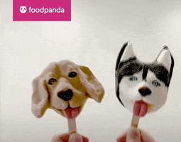 Hungry Food GIF by foodpanda