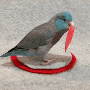 Giphy - I Love You Heart GIF