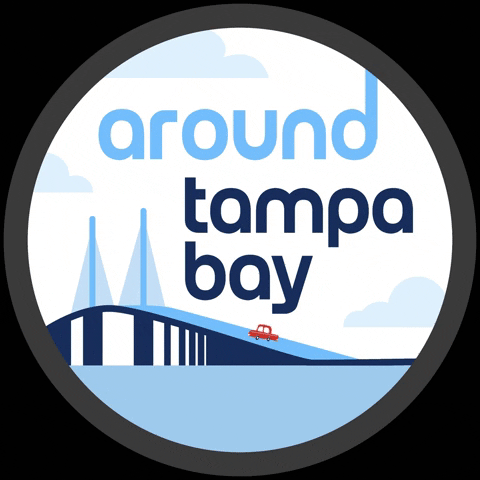 Tampa Bay Car GIF by Becoming A Local