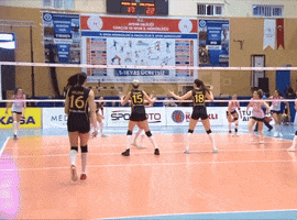 Point Volleyball GIF by Aydın Büyükşehir Belediyespor