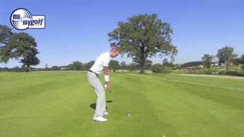 Injury Falling GIF by Me and My Golf