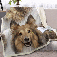 Rough Collie Gifts GIF