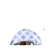 Night Sleep Sticker