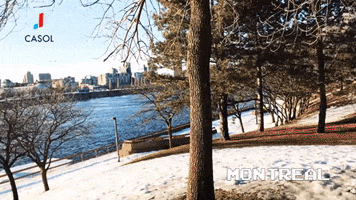 Water Winter GIF by Casol