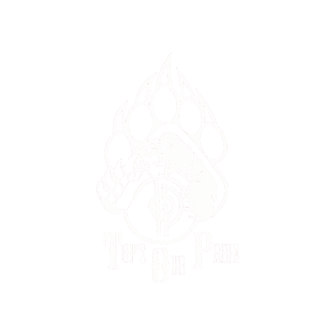 TOP IAA FRESH Sticker