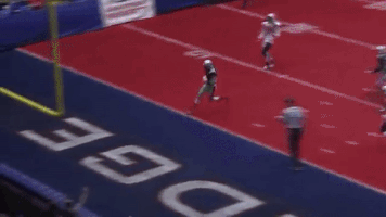 brandonraper  GIF