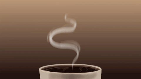 Gilt die 5 Sekunden Regel auch bei verschüttetem Kaffee? 🤔