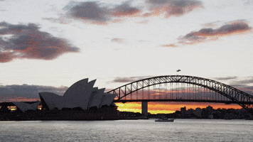 Opera House City GIF by Football Australia