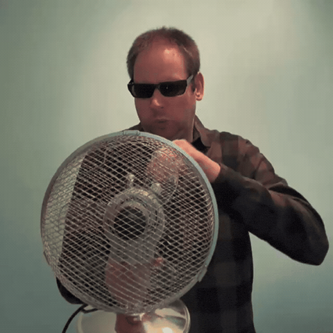 Disgusted Fan GIF