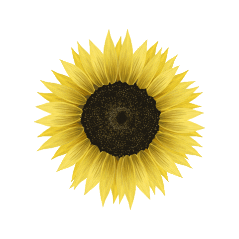 Loop Flower Sticker