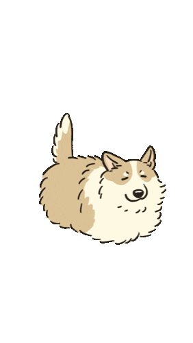 Dog Corgi Sticker