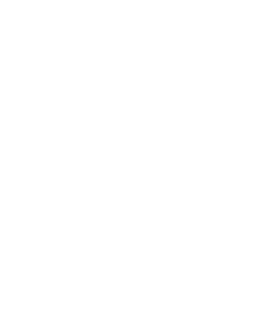 Logo Racing Sticker by SVM NH