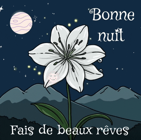 Bonne Nuit GIF