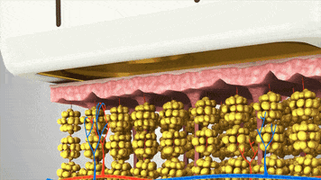 Mmfu GIF