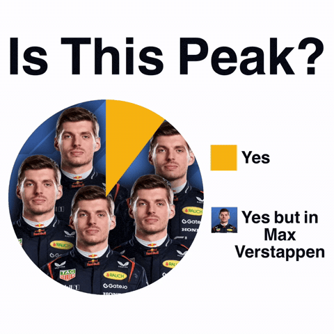 Max Verstappen GIF