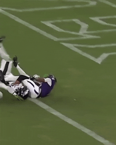 Baltimore Ravens GIF
