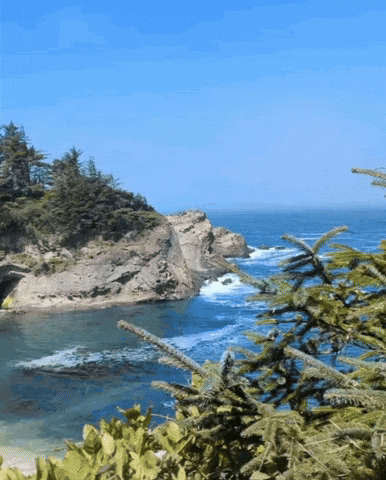 West Coast Summer GIF