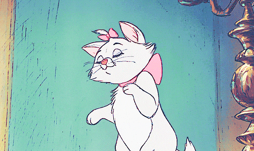 cat pink kitten fabulous fancy GIF