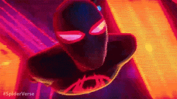 Spiderman Superhero GIF by Spider-Man: Into The Spider-Verse