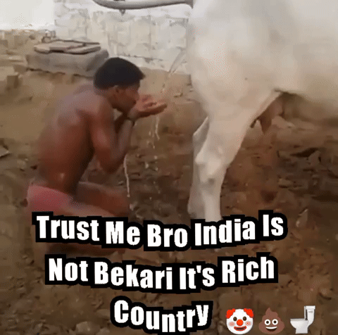 India GIF