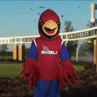 Party Celebrate GIF by Saginaw Valley State University