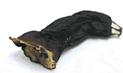 zombie banana GIF