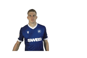 Soccer Goal Sticker by Karlsruher SC
