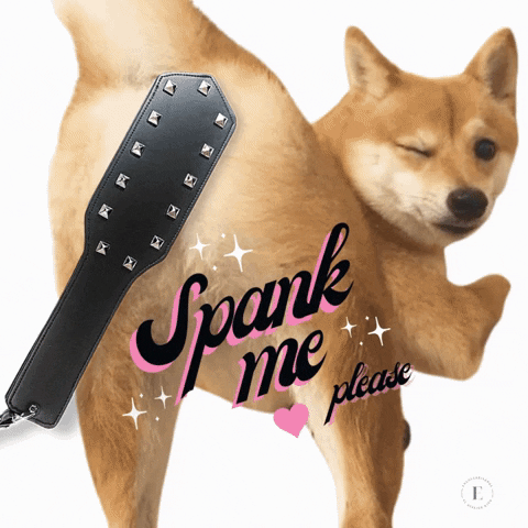 Encollarisados - El Atelier Kink GIF