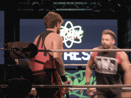Angry Pro Wrestling GIF